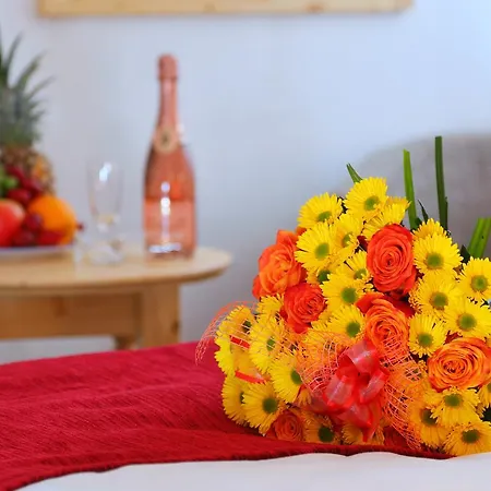 فندق Lenka Špindlerŭv Mlýn